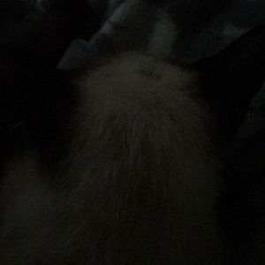 Meet your Posher, Cynthia